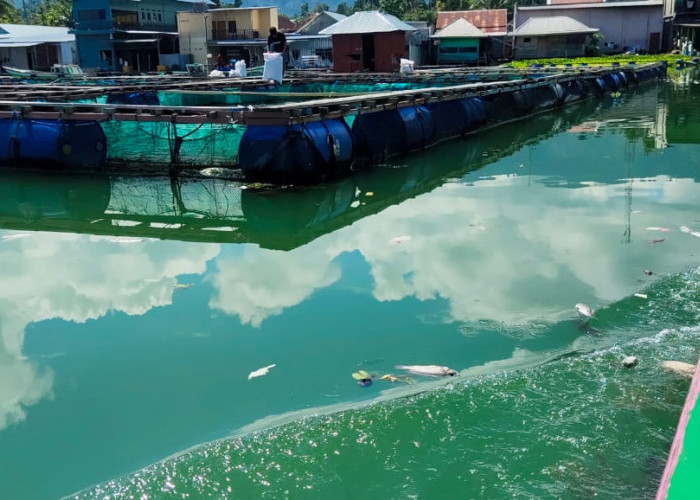 Uji Sampel Air Danau Ranau yang Keruh, Begini Penjelasan DLH