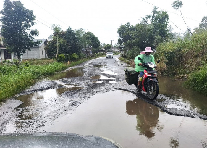 Ganggu Kelancaran Lalin, Rusaknya Jalan Provinsi Mendesak Untuk Diperbaiki 