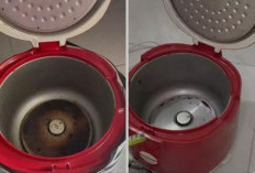 Cara Menghilangkan Noda Gosong di Dasar Rice Cooker dengan 1 Bahan Dapur, Bersih Tanpa Mengganggu Fungsi