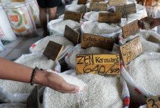 Beras Medium hingga Premium Disubsidi Negara Rp150 T