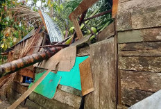 Hujan Deras Disertai Angin,  Satu Rumah di BNS Rusak