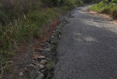 Dua Camat Beri Sikapi Keluhan Jalan Rusak