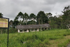 Gedung Eks SMA Kebun Tebu dan Puskesmas Air Hitam Terbengkalai, Pemerintah Pekon Berharap Bisa Pinjam Pakai