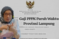 Pemerintah Tetapkan Besaran Gaji PPPK Paruh Waktu di Provinsi Lampung