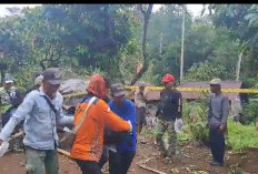  Serangan Gajah Liar Suoh Kembali Menewaskan Warga, Insiden Kelima di Lampung Barat dan Tanggamus