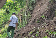 Hujan Deras, BPBD Imbau Masyarakat Tingkatkan Kewaspadaan