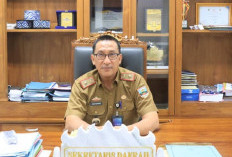 Jelang Pelantikan Bupati dan Wakil Bupati Terpilih, Pemkab Pesisir Barat Matangkan Persiapan 