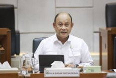 Impor Food Tray Jadi Pilihan,  Produksi Dalam Negeri Belum  Cukup Dukung Program MBG