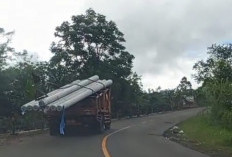 Tiang Listrik Masuk Suoh, Sidorejo–Rowo Rejo Segera Terang