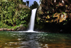 Curug Gede, Destinasi Air Terjun  Alami di Kaki Gunung Slamet