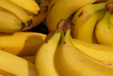 Kapan Waktu Terbaik Makan Pisang untuk Kesehatan Jantung?