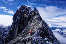 Menaklukkan Tujuh Puncak Tertinggi di Indonesia