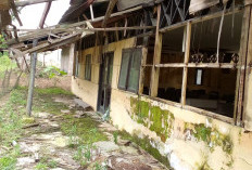 Aula Kecamatan Suoh Nyaris Ambruk, DPUPR Lambar Segera Turunkan Tim 