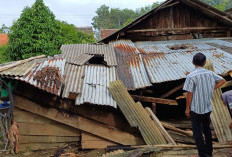 Tertimpa Pohon Tumbang, Rumah Warga Sumberejo Rusak