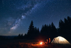 Menyelami Star Bathing, Wisata Relaksasi di Bawah Langit Malam