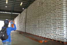 HET Beras Berlaku di Lampung, Disperindag Pastikan Ketersediaan  Stok dan Pengawasan Harga