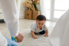Pilihan Makanan Agar Bayi Cepat Merangkak