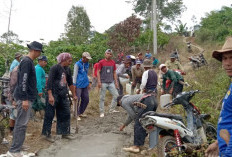 Kerusakan Jalan Tak Kunjung Ditangani Pemkab, Warga Dua Pekon Bertindak Sendiri