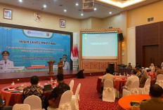 Hadiri HLM TP2DD, Pemkab Pesbar Dukung Transformasi Digital