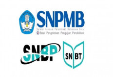 Registrasi Akun SNPMB 2025: 117.785 Siswa Sudah Mendaftar