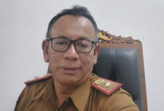 DP3AKB Pesisir Barat Minta   Perhatian Bersama Atasi TPPO