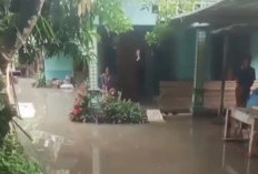 DKPP Pastikan Hujan Deras Tak  Berdampak pada Tanaman Padi