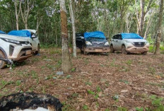 Polda Lampung Dalami Keterlibatan Pemilik Kendaraan di Lokasi Judi Sabung Ayam 