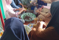 UMKM Kuliner Kader TP PKK  Perkuat Ekonomi Keluarga