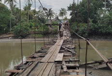 Warga Way Nukak Berharap  Perbaikan Jembatan Gantung