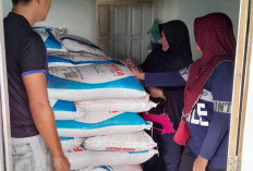 Pesbar Dapat Realokasi  Pupuk Subsidi Tahun 2025