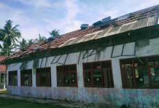 Disdikbud Pesbar Maksimalkan Rehabilitasi Sekolah