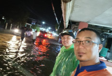 Puluhan DAS Jadi Pemicu Utama Banjir di Pesisir Barat