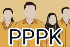 Syarat Baru Daftar PPPK Tahap 2,  Pelamar CPNS-PPPK TMS   Pada Tahap I Bisa Mendaftar 