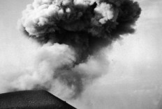 Jejak Kelam Letusan Semeru: Tragedi 1909 dan Peringatan  bagi Mitigasi Masa Kini