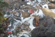 DLH Bandar Lampung Akui Buang  Air Lindi ke Sungai di Keteguhan