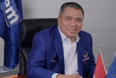 Politikus Nasdem Ahmad Ali Dipanggil KPK Terkait Dugaan Gratifikasi Tambang Batu Bara