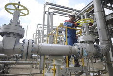 Kemenperin dan ESDM Bahas Penambahan Industri Penerima Gas Murah  