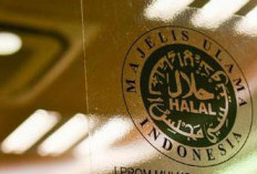 MUI Dukung Penuh Fatwa IUMS yang Serukan Jihad Melawan Israel