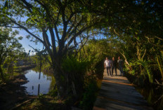 Menyelami Solo hingga Bali sebagai  Poros Utama Wellness Tourism