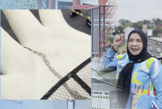 Heboh Retak JPO Siger Millenial Ternyata Lumut
