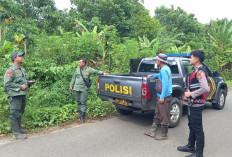 Gelar Patroli Gabungan, Antisipasi Ancaman Harimau Sumatera