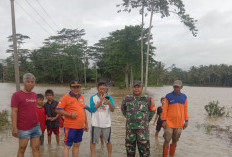 Pekon Negeri Ratu Ngambur Banjir, Akses Jalan Sempat Tersendat, Puluhan Rumah Warga Terdampak Banjir