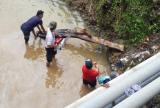 Warga Pasar Krui Gotong Royong  Bersihkan Way Tuok dan Way Karik