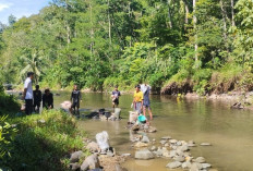 Imbau Warga Waspada, Kemunculan Satwa Liar Picu Kekhawatiran Masyarakat