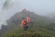 KNKT Ungkap Penyebab ELT Pesawat ATR Tak Berfungsi