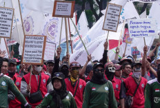 Gelombang Aksi Buruh Kepung DPR dan Istana,  Soroti Upah, Outsourcing hingga RUU Pemilu