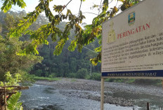 Diskan Pesbar Imbau Tangkap Ikan  dengan Bahan Ramah Lingkungan