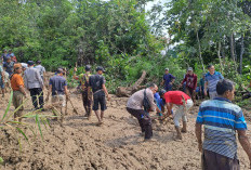 Tim Gabungan Bersihkan Tanah Longsor di Lemong