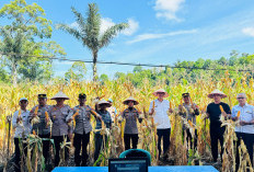 Sinergi Polres-Petani Wujudkan Ketahanan Pangan di Pesbar