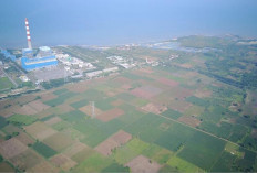 Proyek Kilang Tuban Makin Pasti, Target FID Agustus 2025